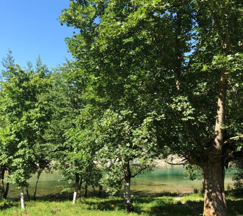 Photo of Others in Konjic