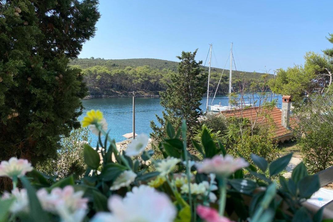 Photo of Others in Molat