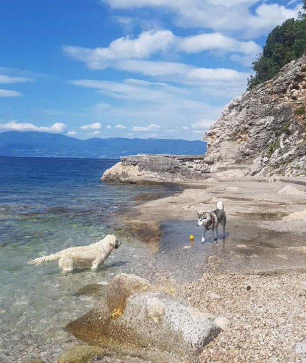 Photo of Others in Kostrena