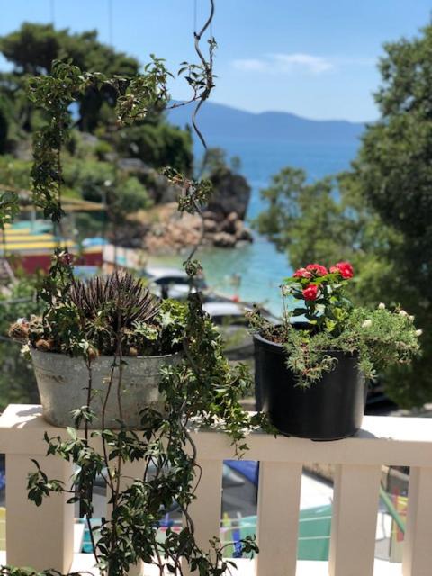 Photo of Others in Gradac
