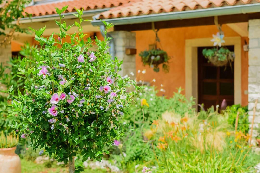 Photo of Others in Cabrunici