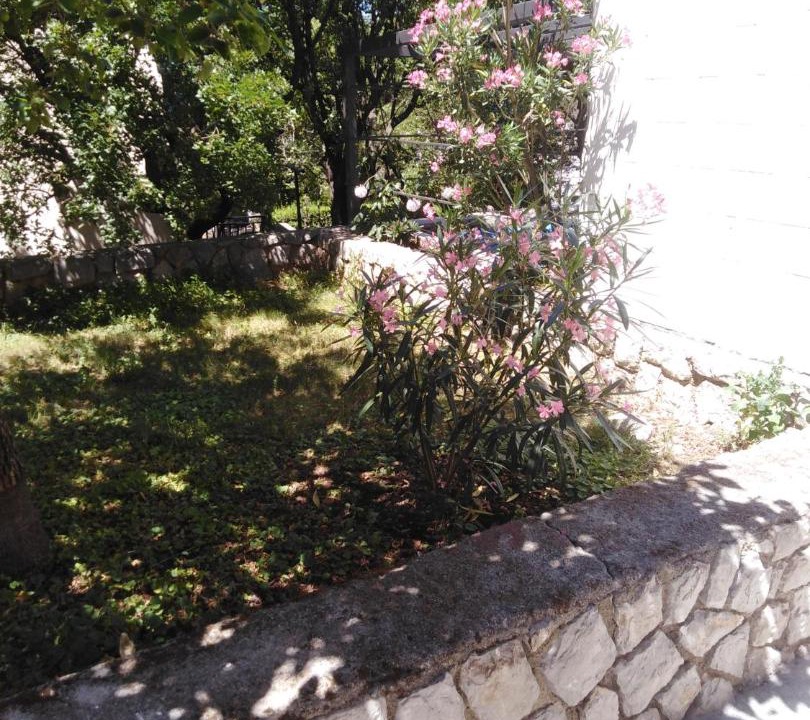 Photo of Others in Klenovica