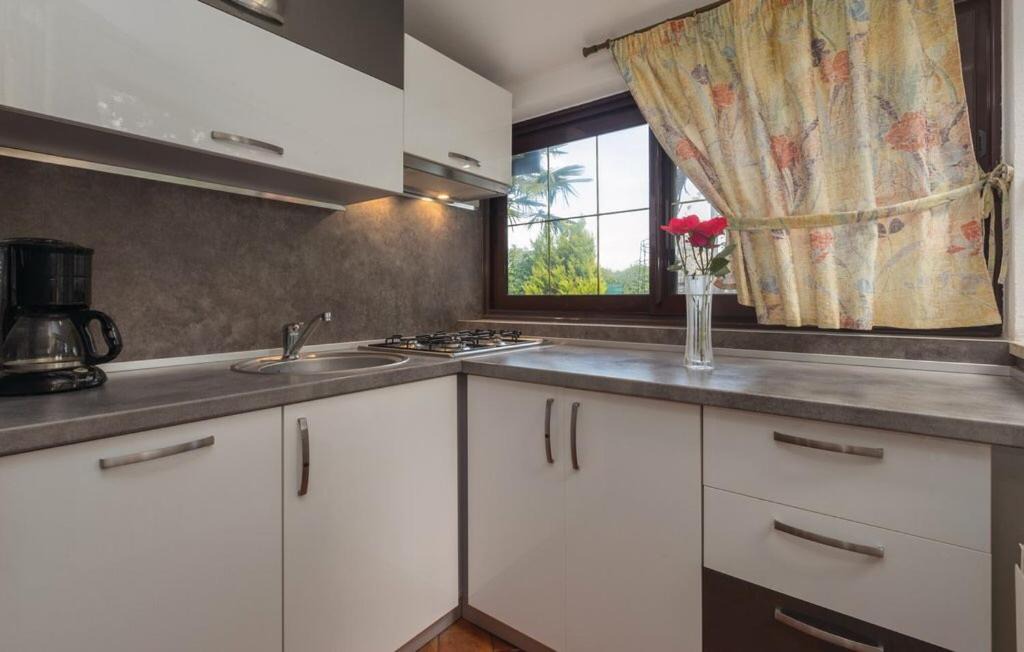 Photo of Kitchen in Rovinjsko Selo