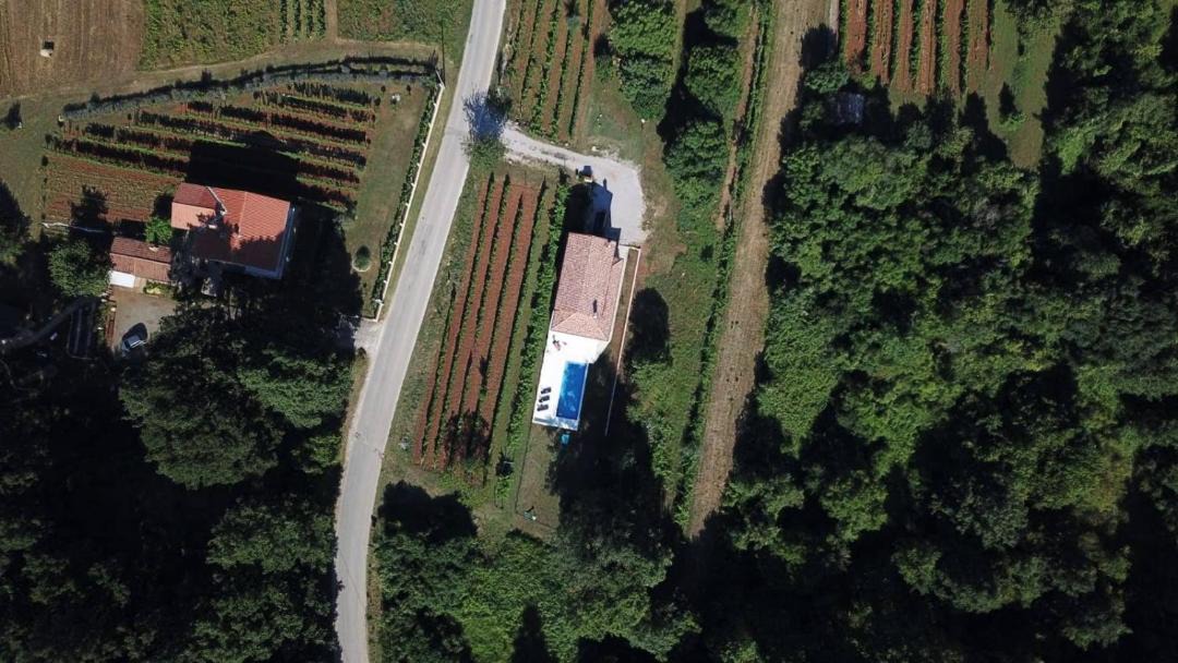 Photo of Others in Snasici
