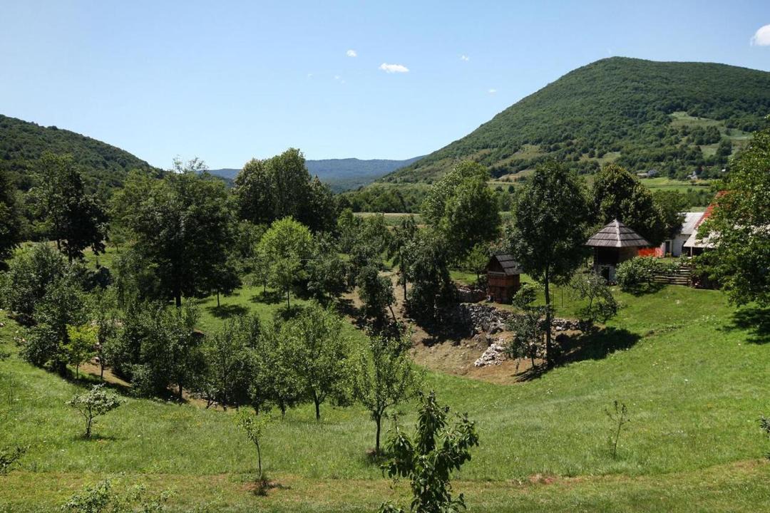 Photo of Outdoor in Smoljanac