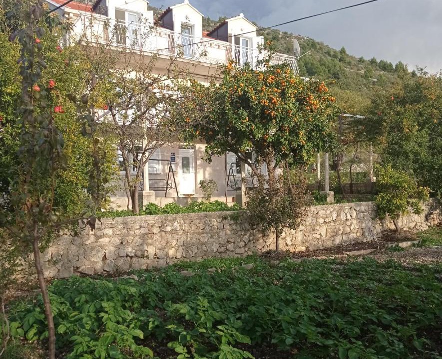 Photo of Others in Brsecine