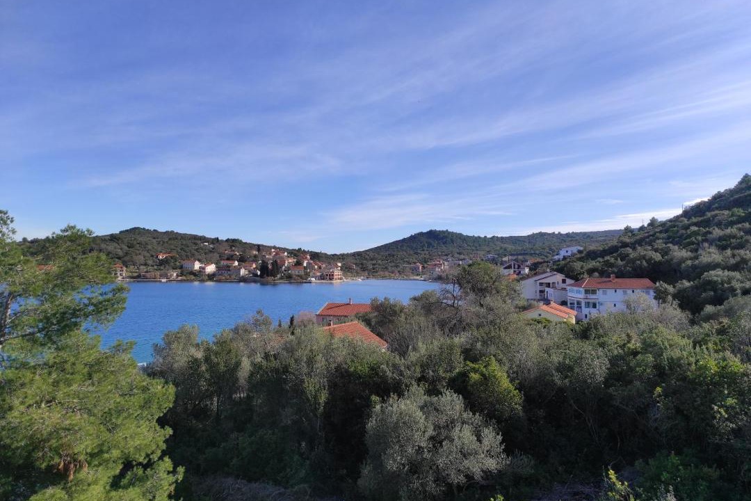 Photo of Others in Luka