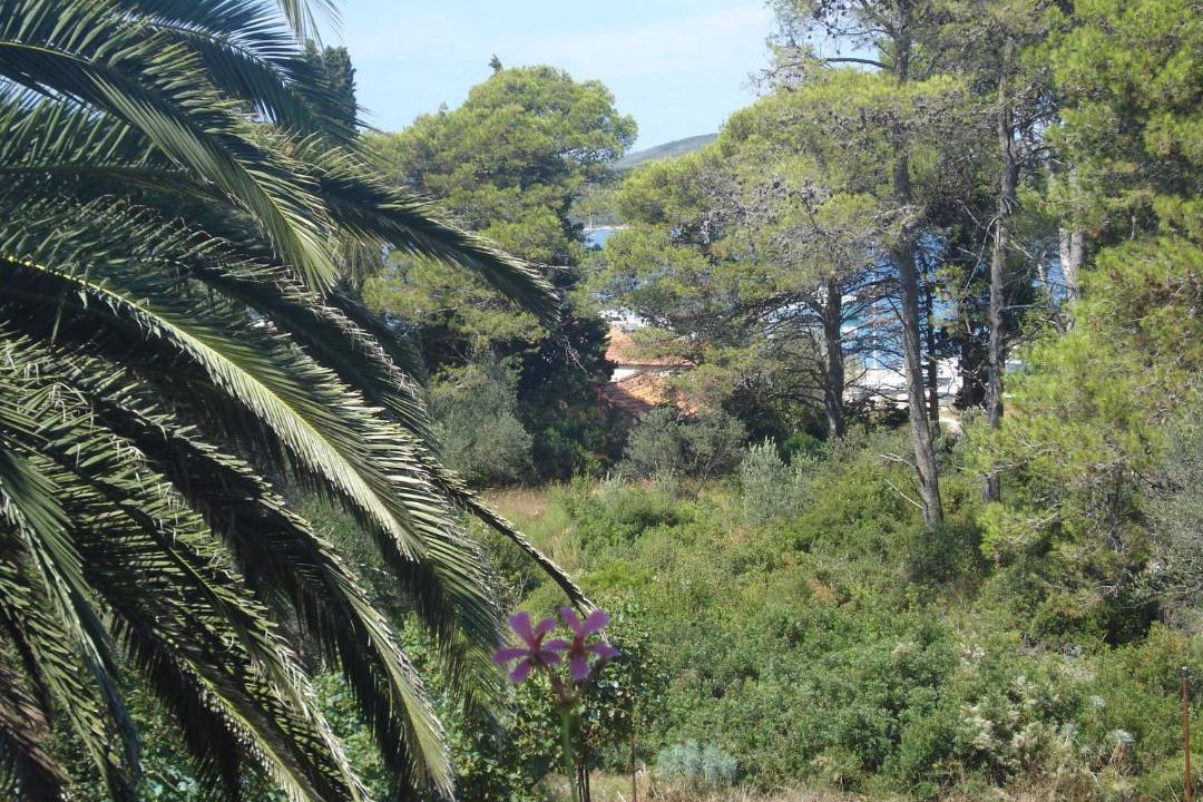 Photo of Others in Muline