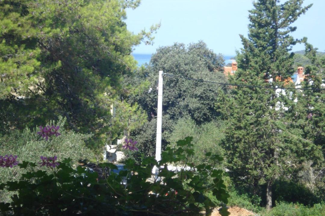 Photo of Others in Muline
