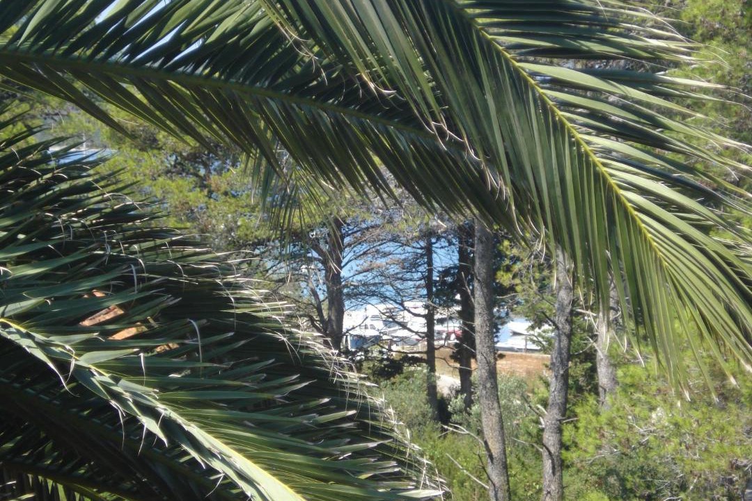 Photo of Others in Muline