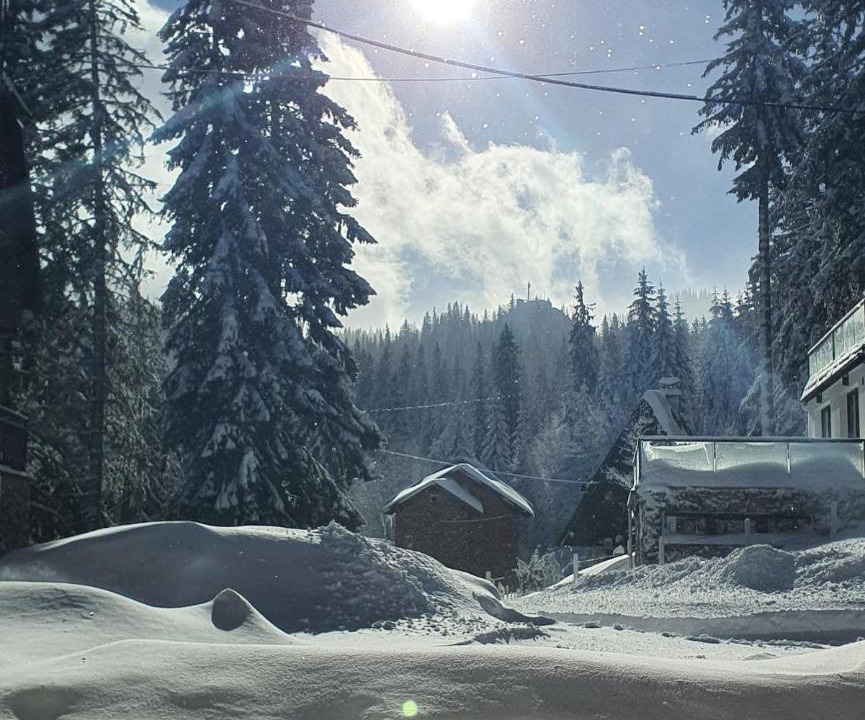 Photo of Others in Jahorina