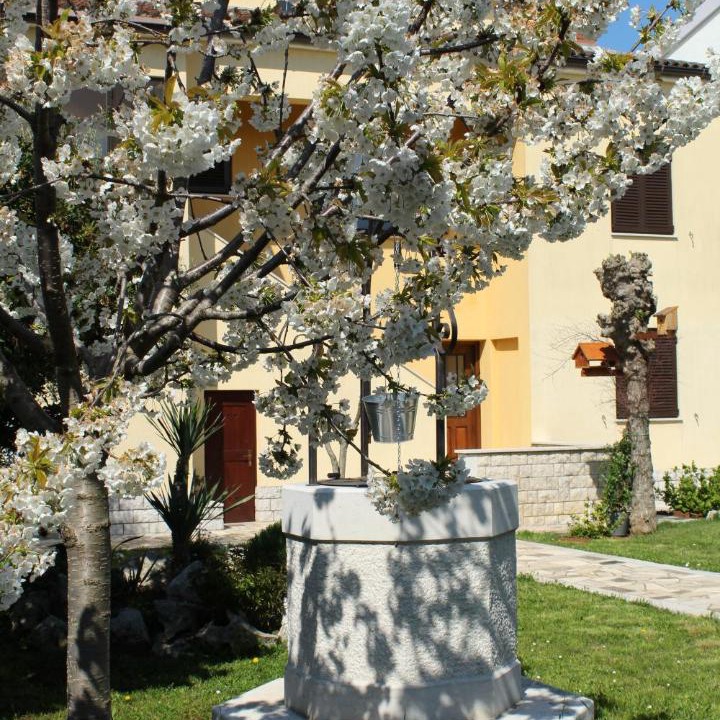 Photo of Others in Cervar