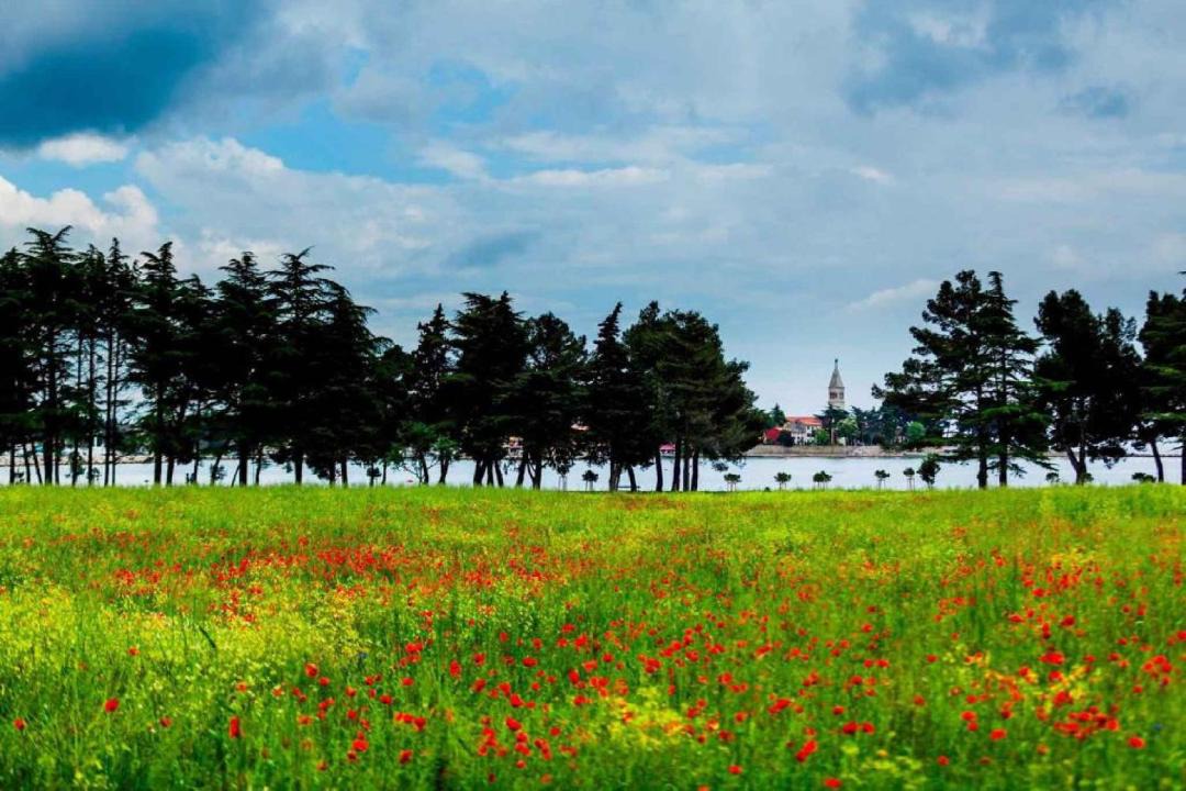 Photo of Others in Klenovica