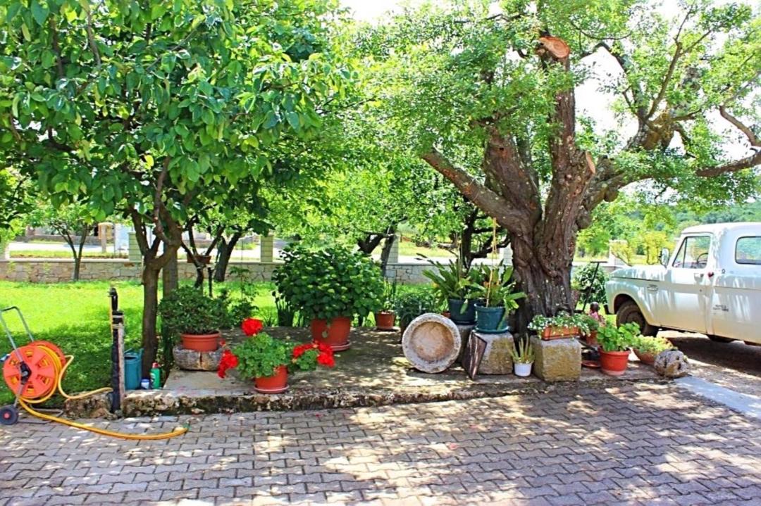 Photo of Others in Vrvari