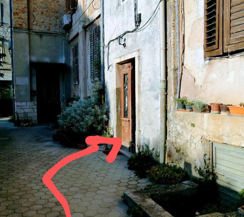 Photo of Others in Pula