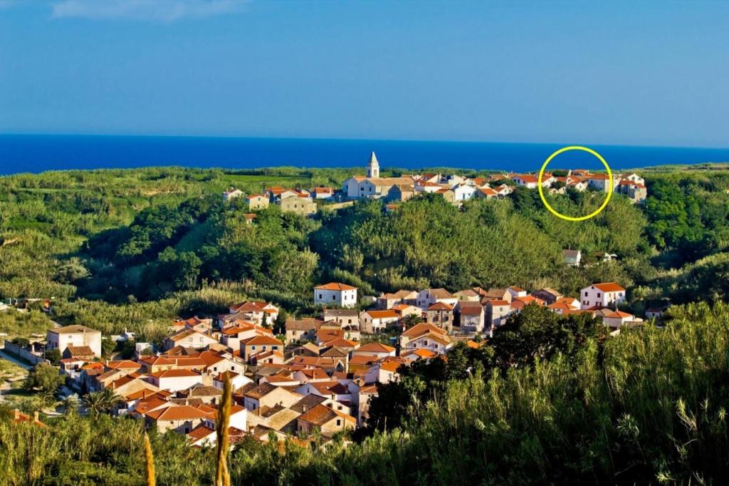 Photo of Others in Gornje selo