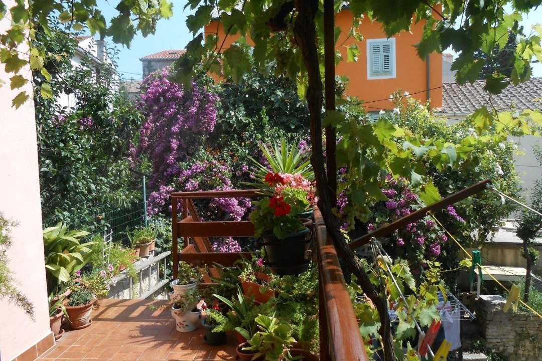 Photo of Patio Balcony in Cove Murtar