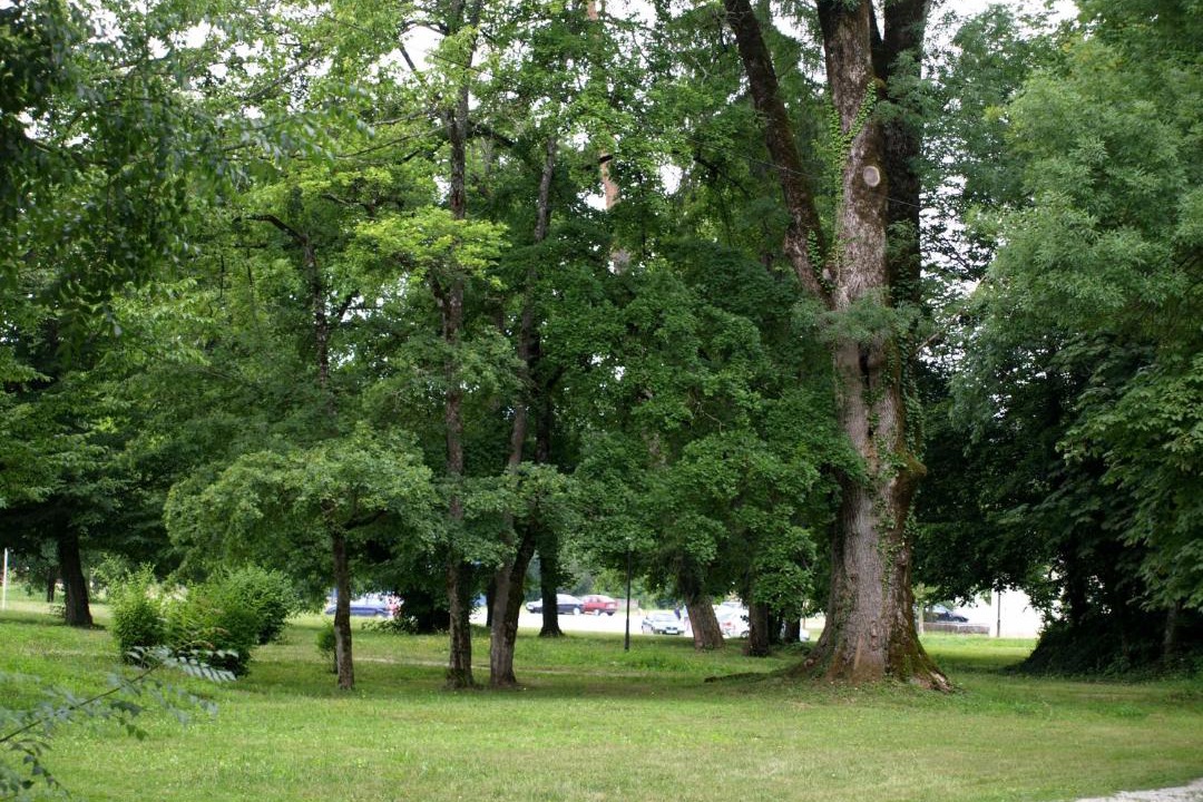 Photo of Others in Topusko