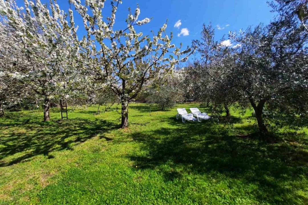 Photo of Outdoor in Sveti Lovrec