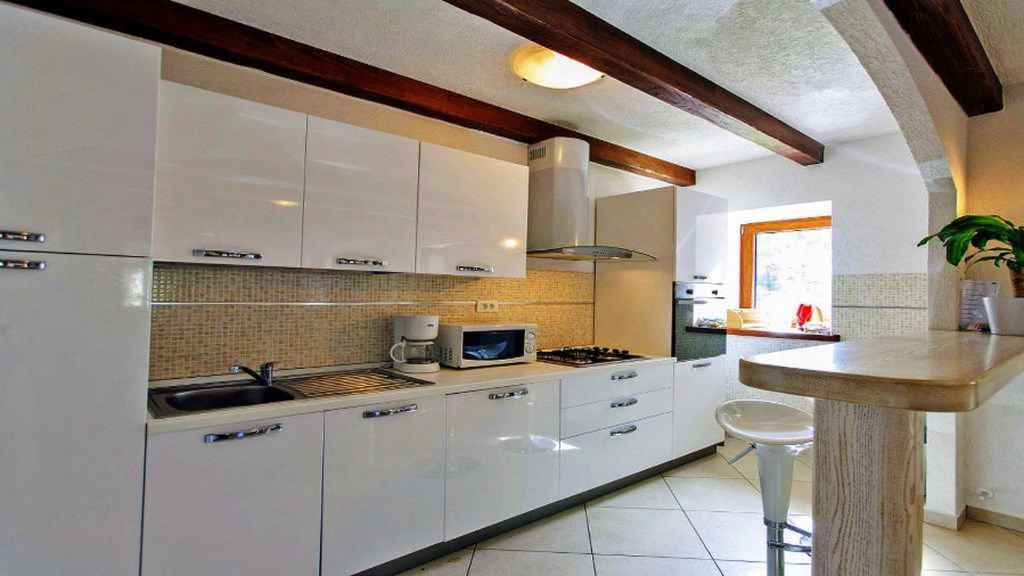 Photo of Kitchen in Lupoglav