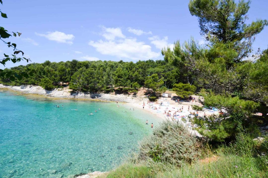 Photo of Others in Pula