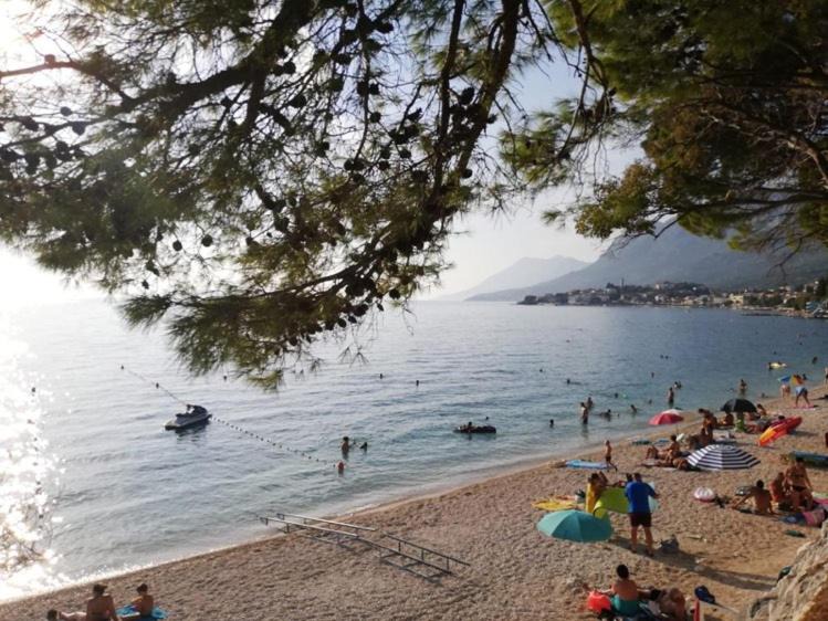 Photo of Others in Gradac