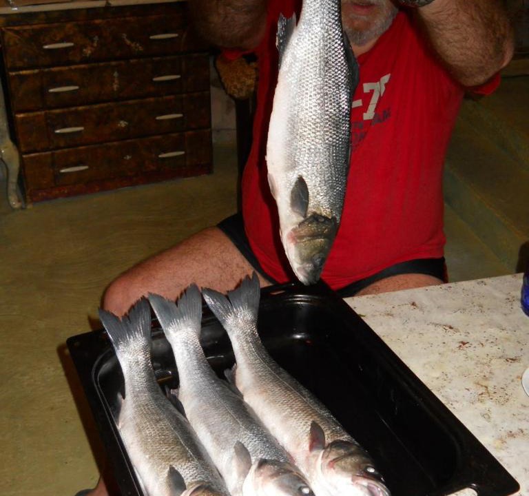 Photo of Others in Sutomiscica