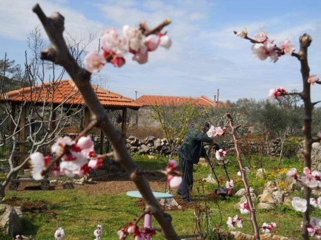 Photo of Others in Sutomiscica