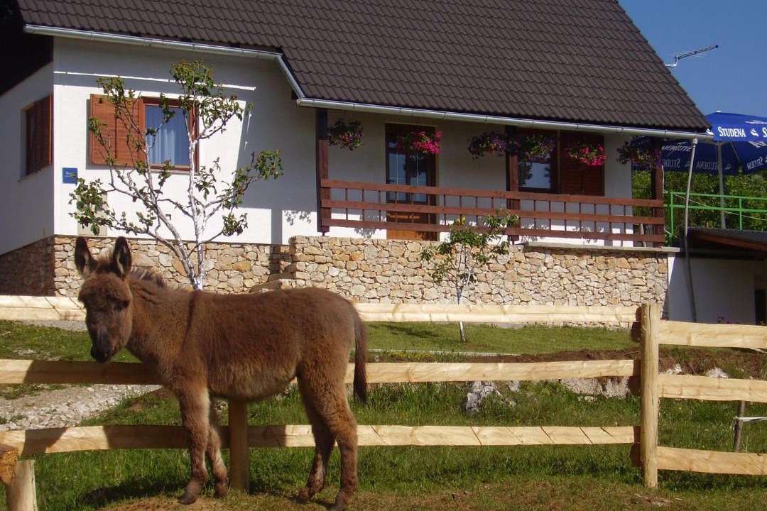 Photo of Others in Poljanak