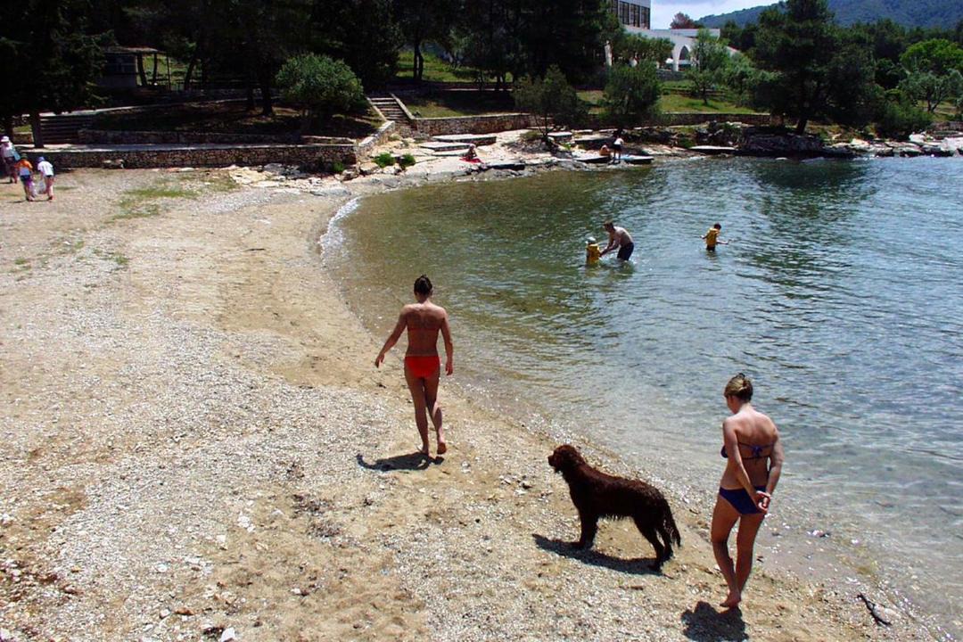 Photo of Others in Stari Grad