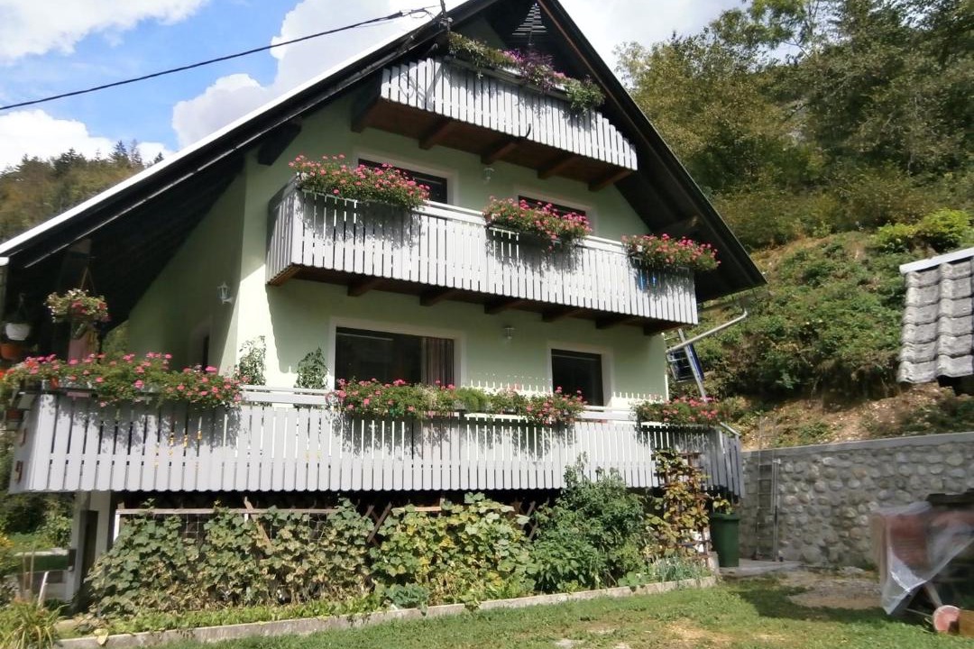 Photo of Others in Bohinj