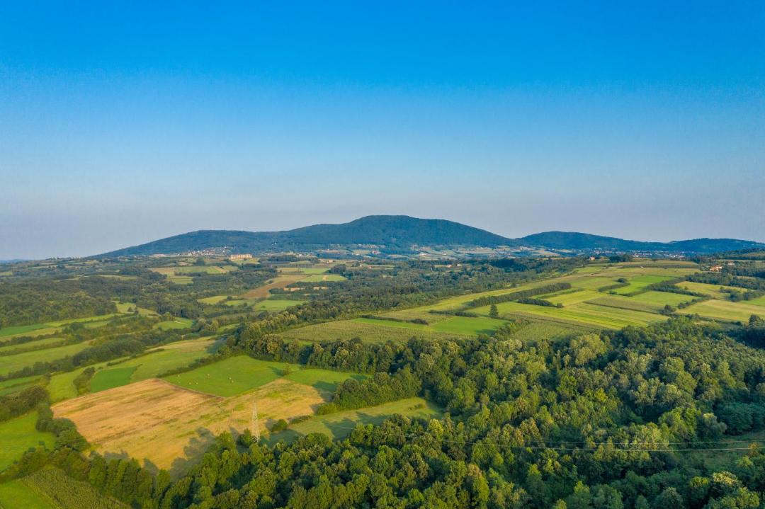 Photo of Others in Mladenovac