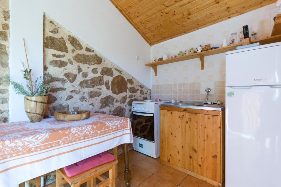 Photo of Kitchen in Rasopasno