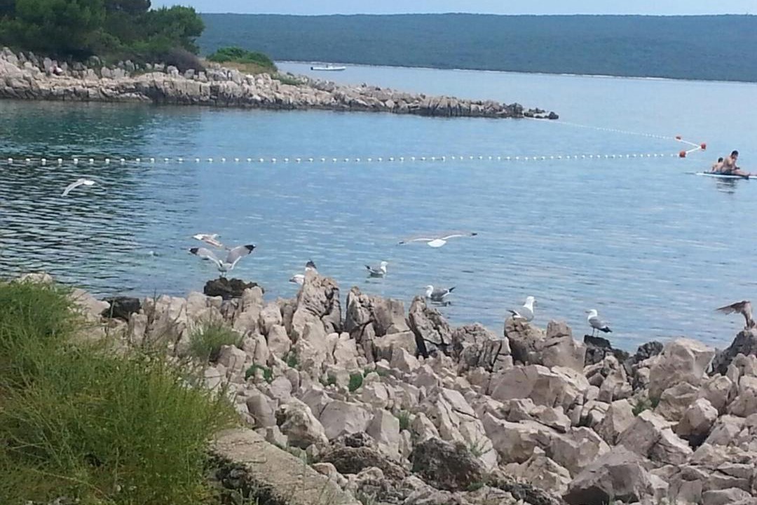 Photo of Others in Nerezine