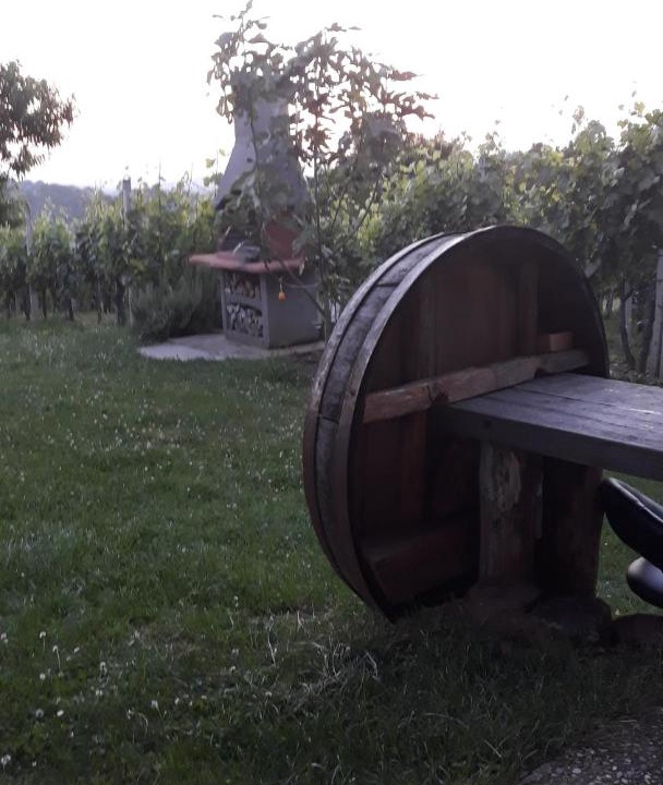 Photo of Others in Sveti Martin na Muri