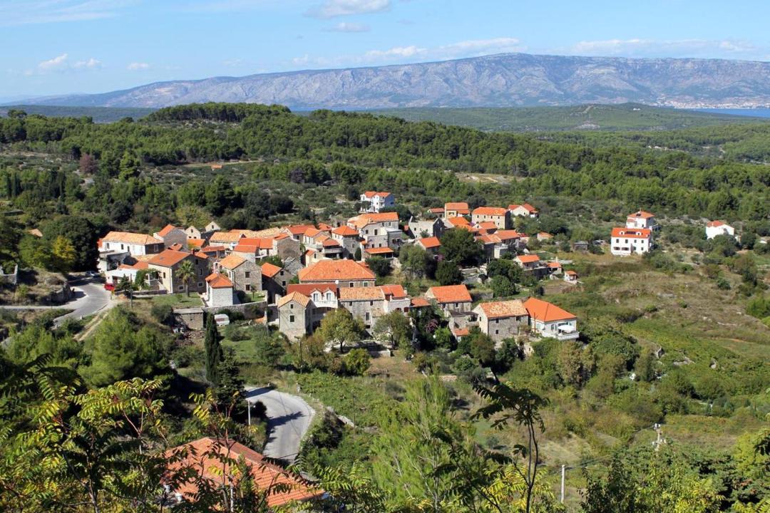 Photo of Others in Pitve