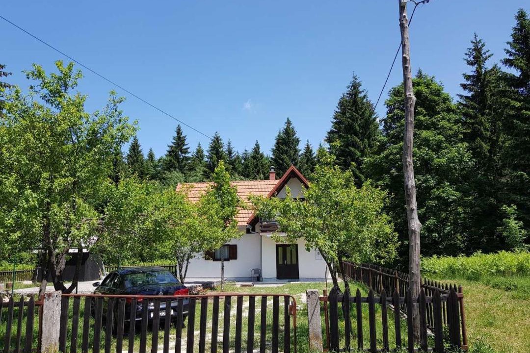 Photo of Others in Seliste