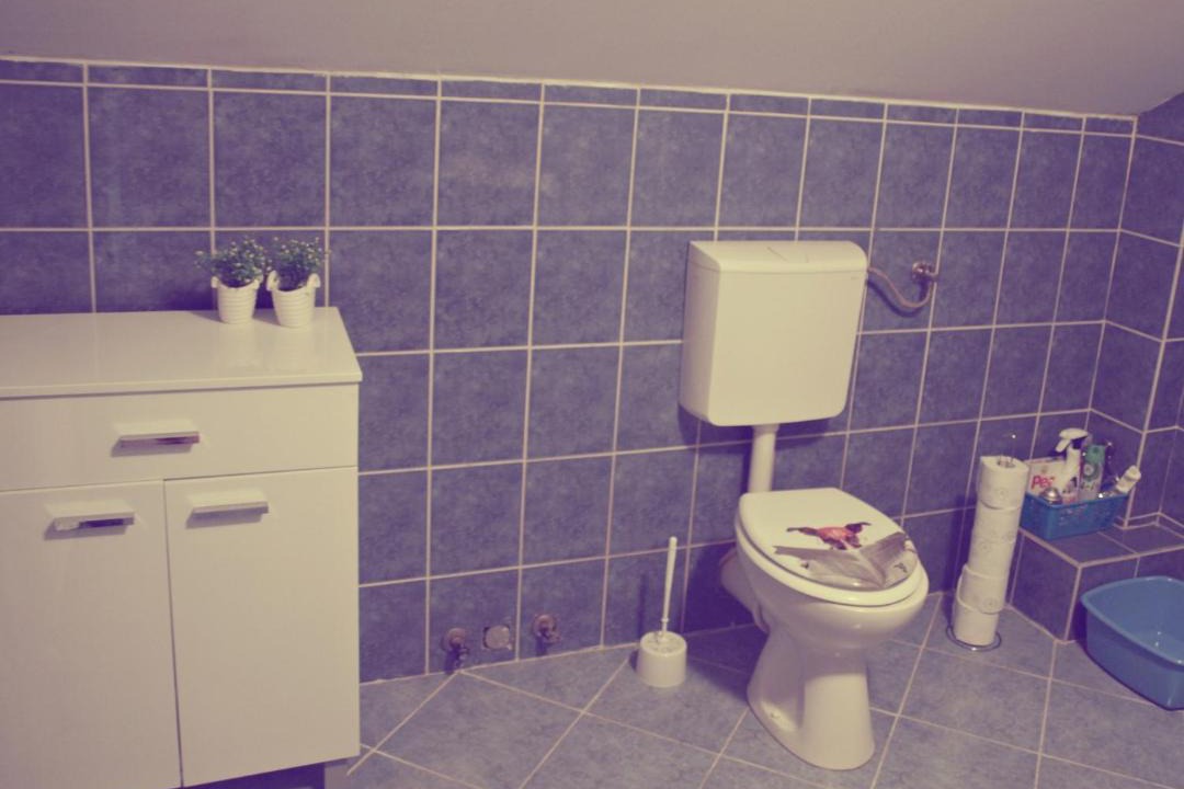 Photo of Bathroom in Slunj
