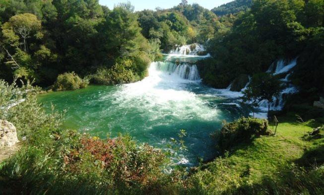 Photo of Others in Zaton