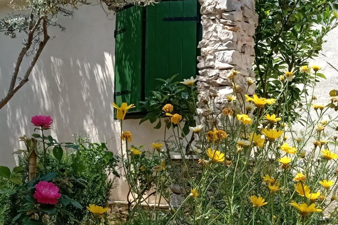 Photo of Buildings in Sevid