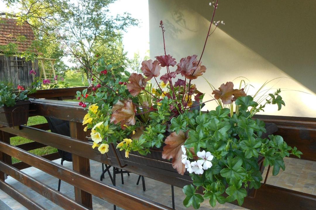 Photo of Patio Balcony in Slunj