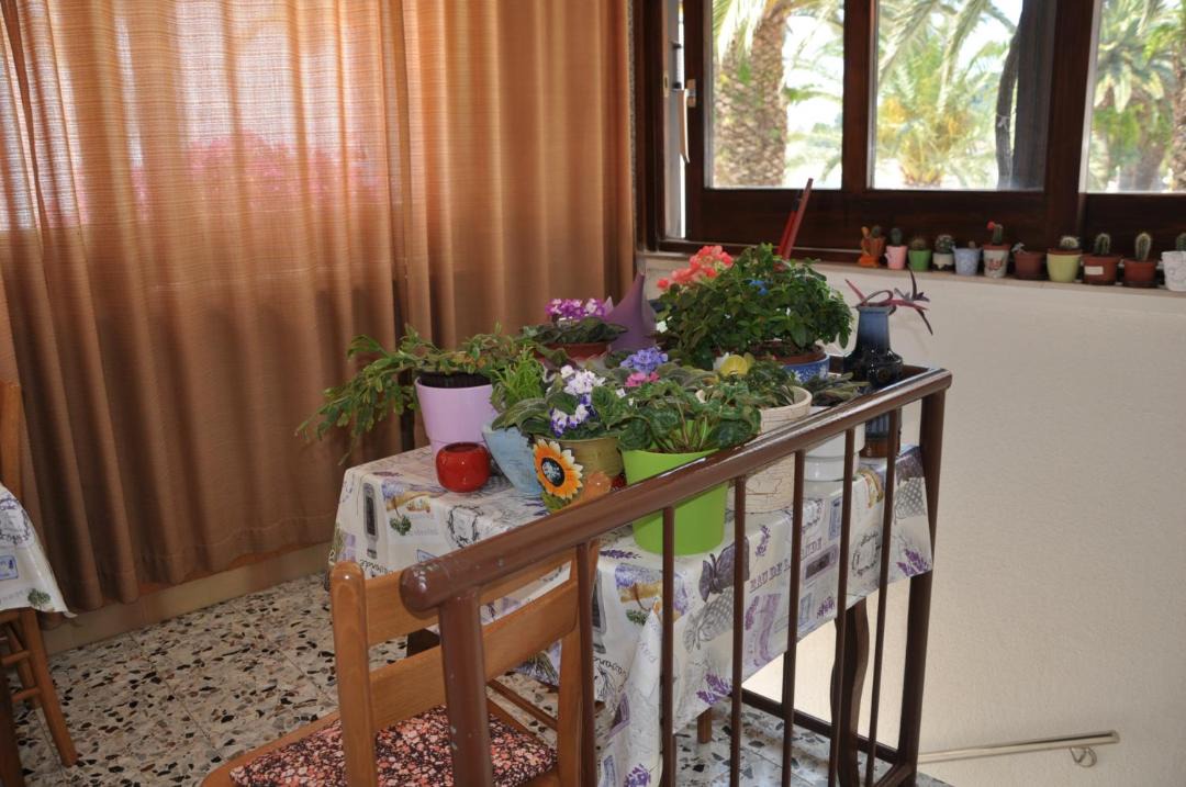 Photo of Others in Podgora