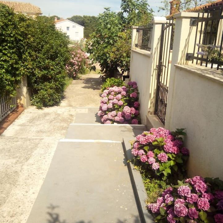 Photo of Others in Vintijan