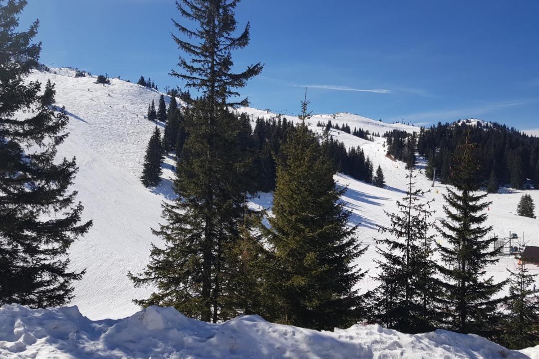 Photo of Others in Jahorina