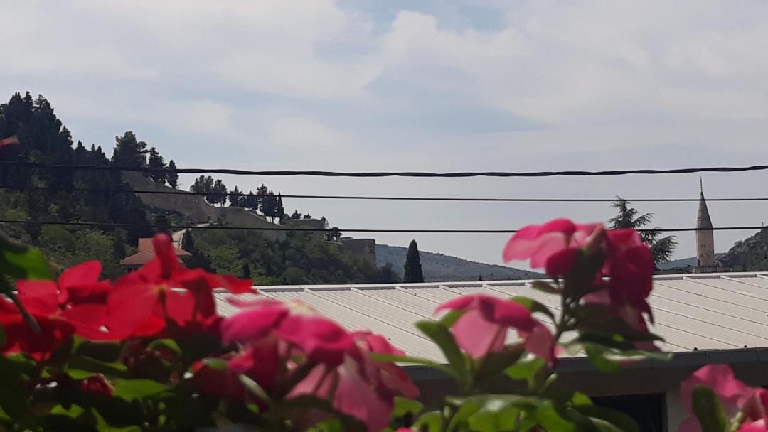 Photo of Others in Stolac