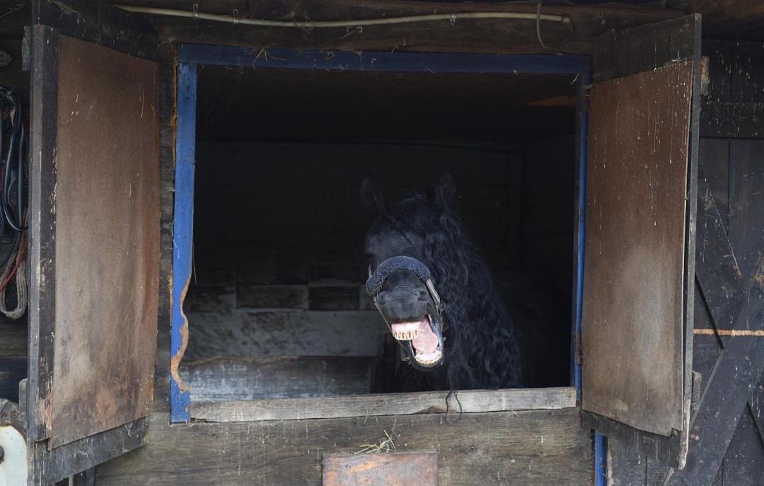 Photo of Others in Karlovac