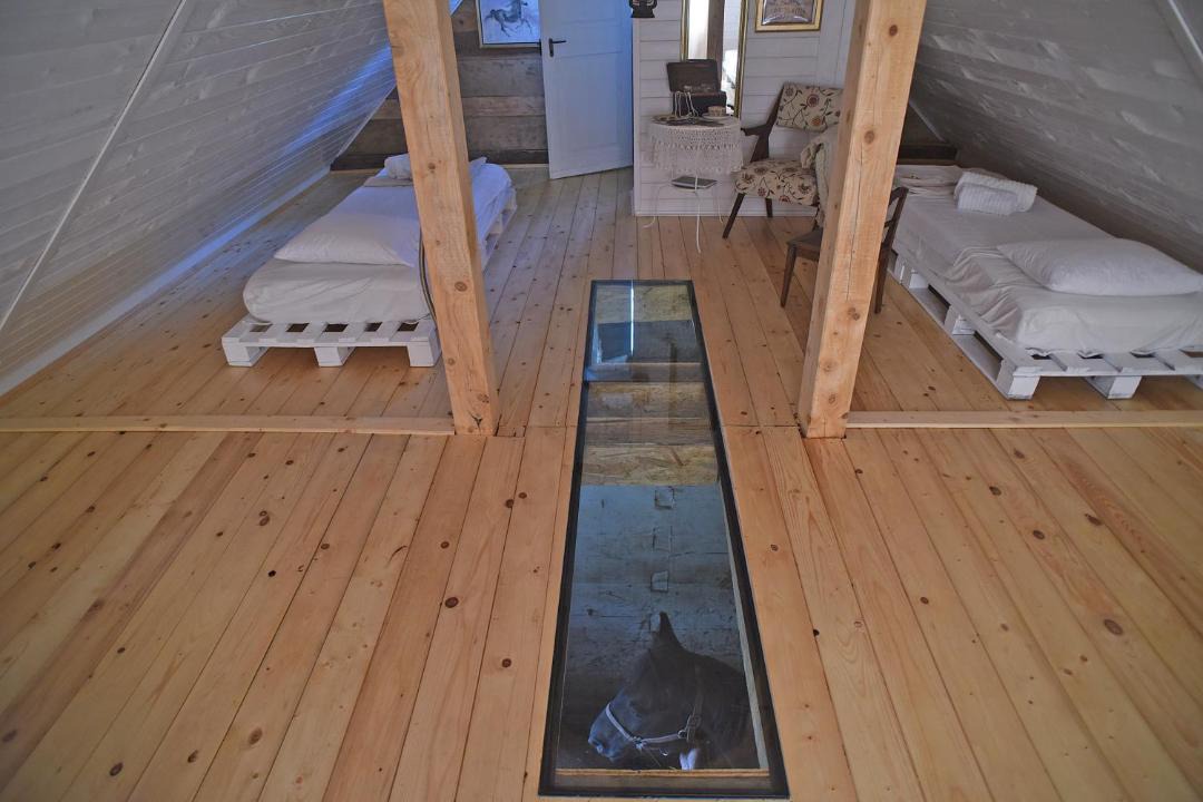 Photo of Others in Karlovac