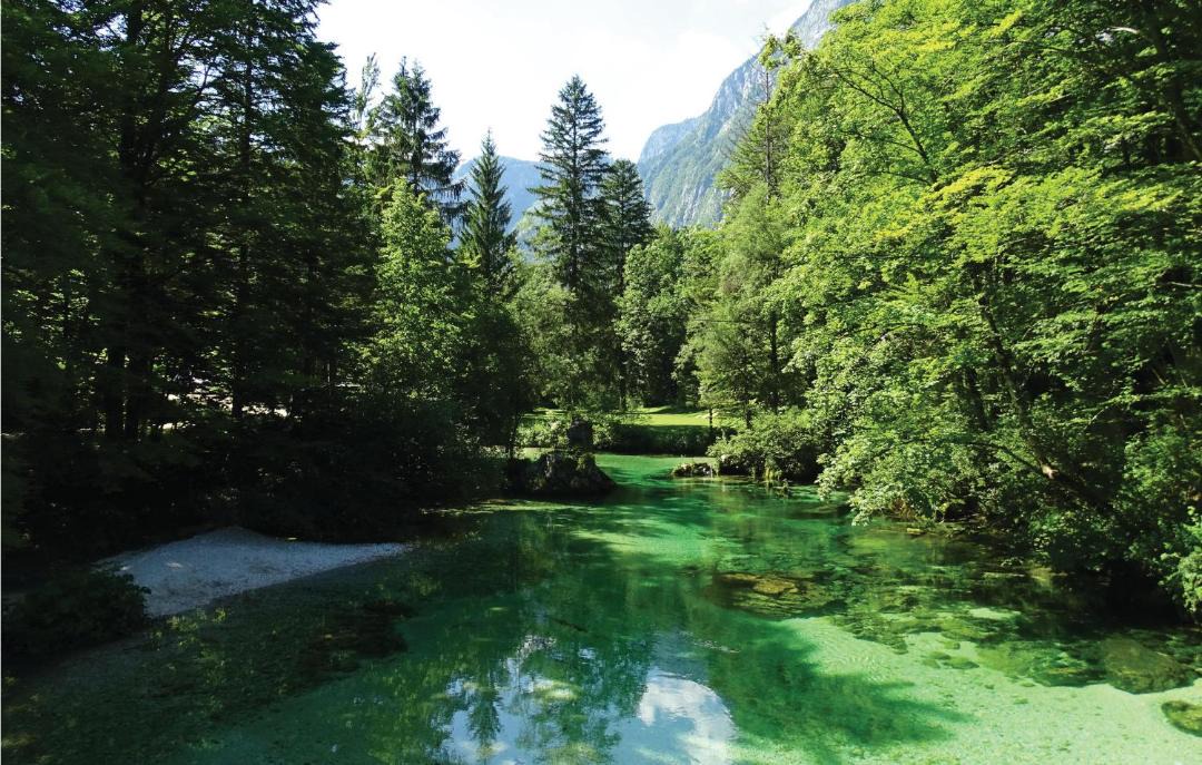 Photo of Outdoor in Bohinjska Bistrica