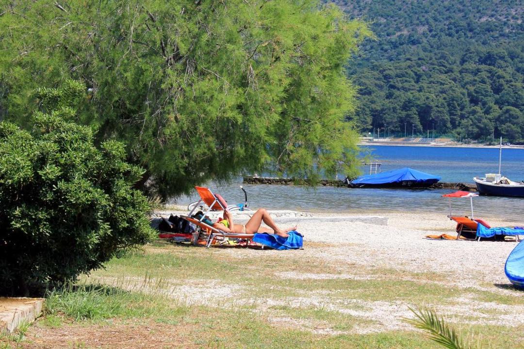 Photo of Others in Krucica