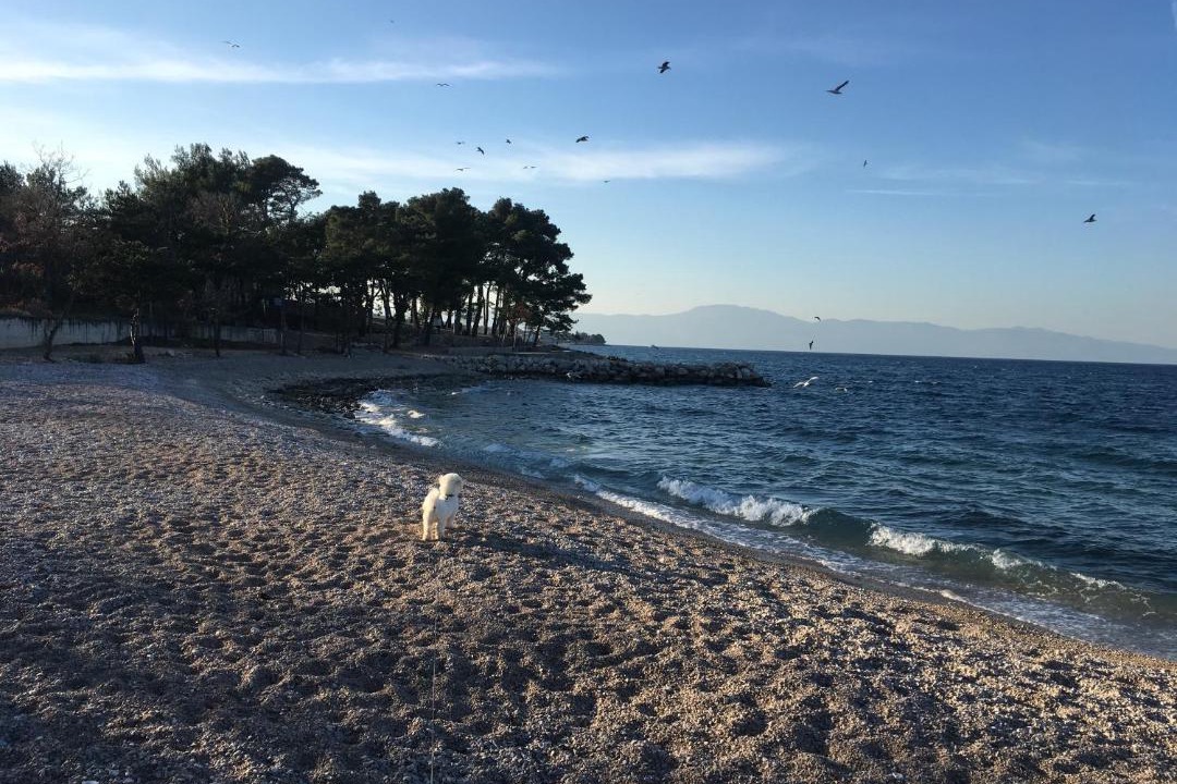 Photo of Others in Zidarici